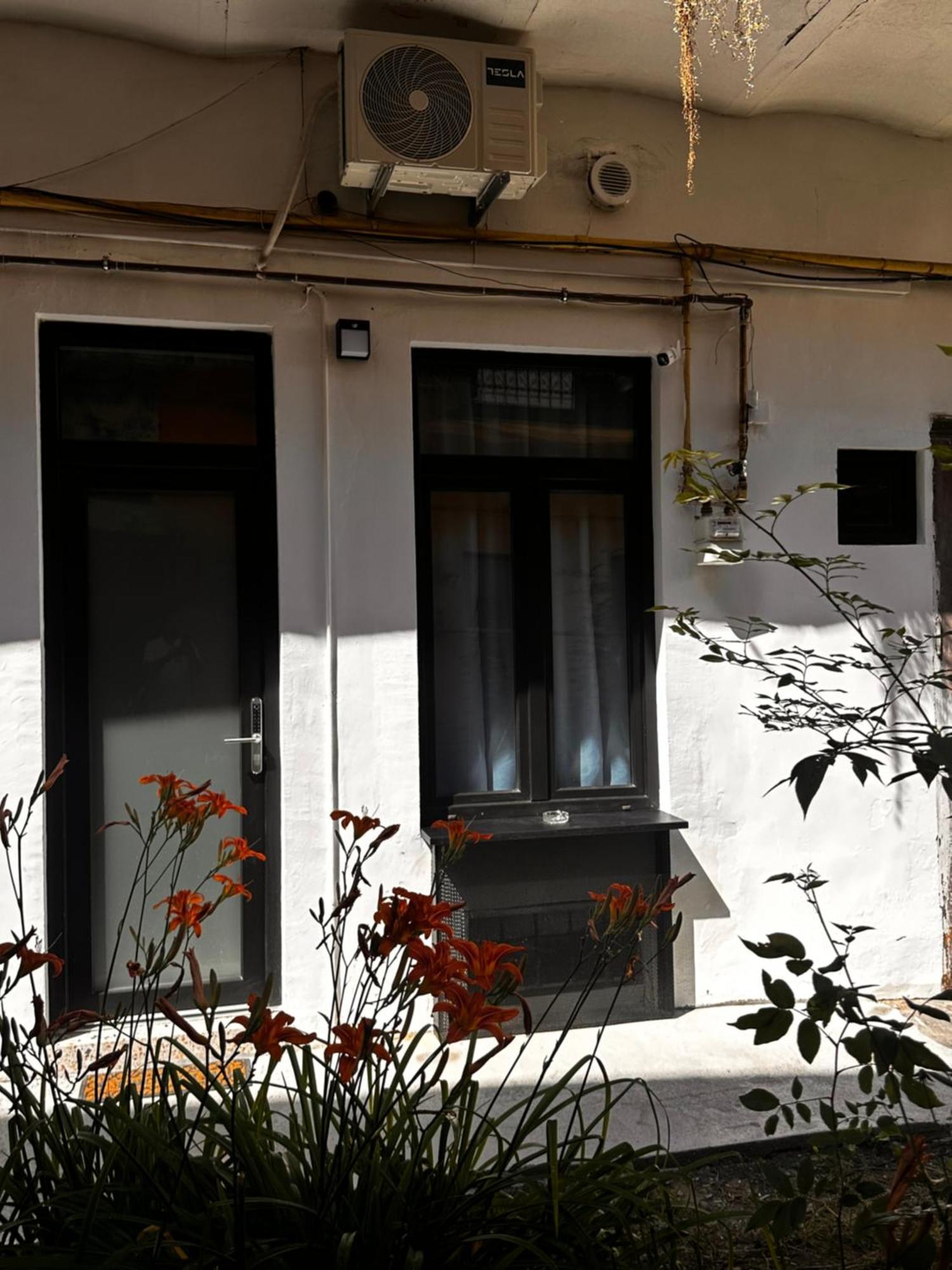 Jais Home-Moon Apartment Old Town クルージュ＝ナポカ エクステリア 写真
